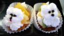 Doggy treats