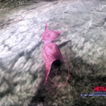 mgs4-091